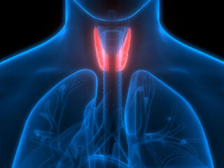 Endocrinologist in Indore, Endocrinology Hospital in Indore